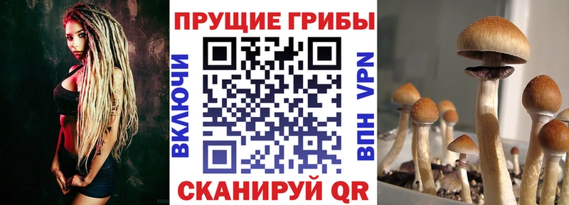 Галлюциногенные грибы Magic Shrooms  Озёрск 