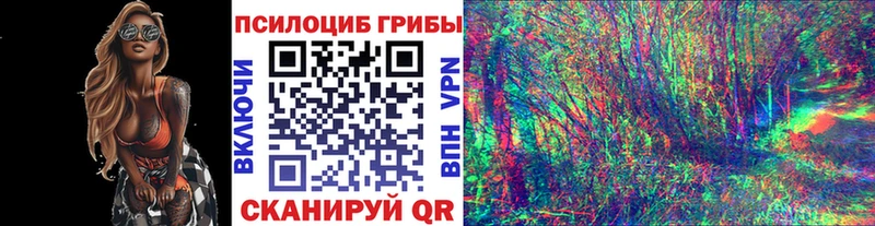 Псилоцибиновые грибы мицелий Озёрск
